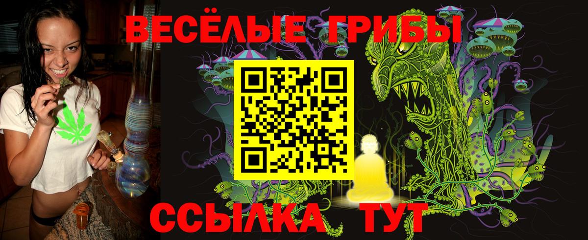 Нарткала  Псилоцибиновые грибы мухоморы  Вход с VPN  Псилоцибиновые грибы Psilocybine cubensis 